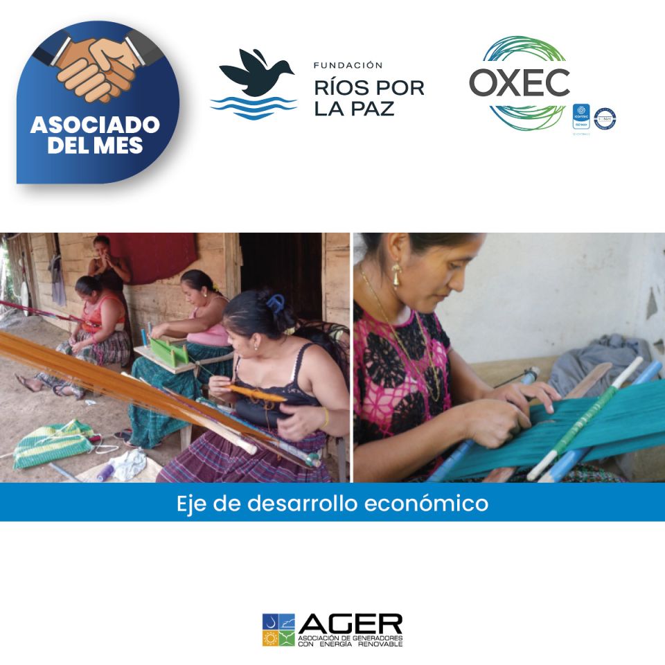 Eje Desarrollo Económico – Tejido