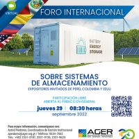 Foro Virtual Internacional, sobre Sistemas de Almacenamiento